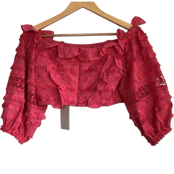 ALEXIS Phelia Top in Pink Embroidered Crop Top Size XS NWT - Picture 2 of 7